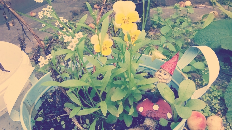 Flower with Gnome